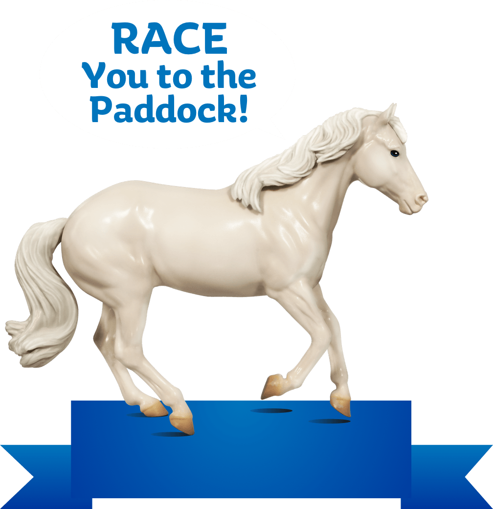 Biscuit says, 'Race You to the Paddock!'